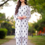 2 Pcs Women's Stitched Linen Printed Suit